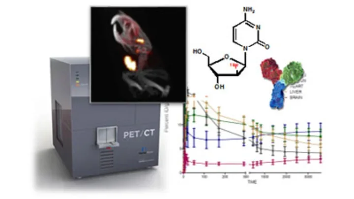 PET CT machine and graphs/figures