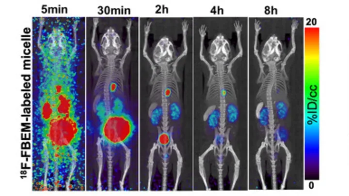 A Glucose-Responsive Glucagon-Micelle for the Prevention of Hypoglycemia