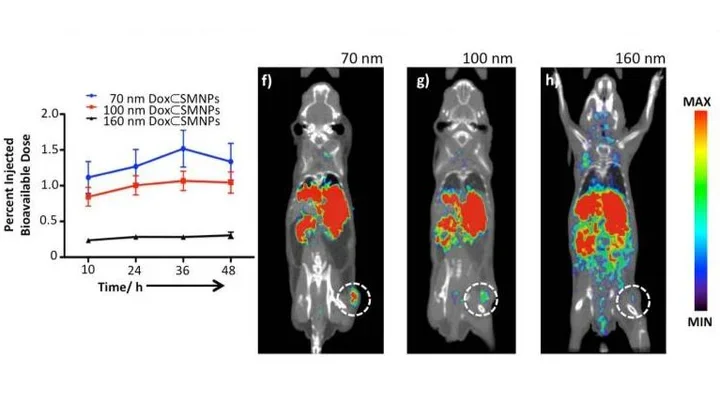 On-demand drug release system for in vivo cancer treatment
