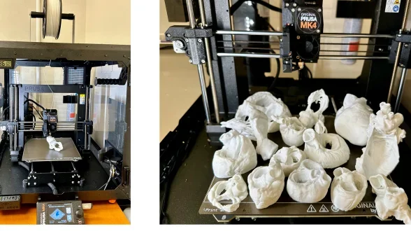 Pipeline for Multi-Scale Three-Dimensional Anatomic Study of the Human Heart