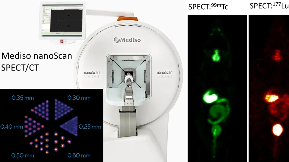 Single photon emission computed tomography (SPECT) imaging of rats