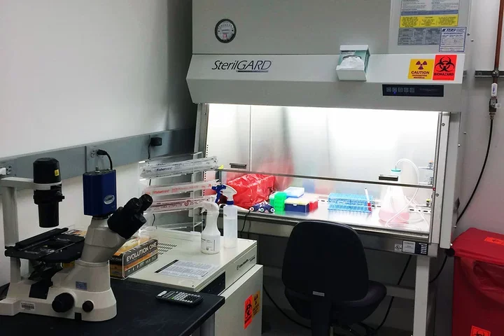 Cell Culture