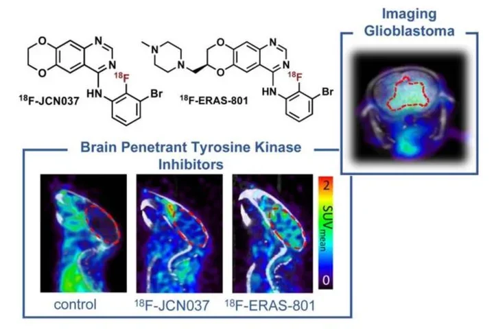 18F-Labeled brain-penetrant EGFR tyrosine kinase inhibitors for PET imaging of glioblastoma