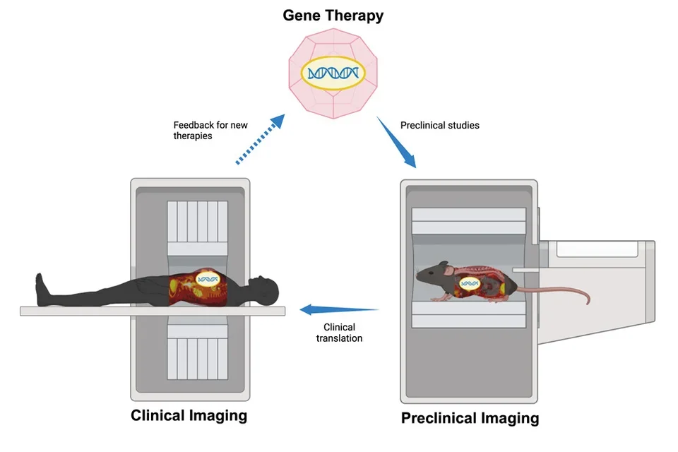 Recent developments in translational imaging of in vivo gene therapy outcomes
