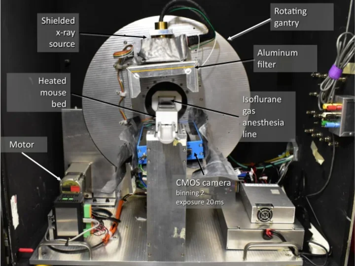 Retrospective Cardiac Gating with A Prototype Small-Animal X-ray Computed Tomograph