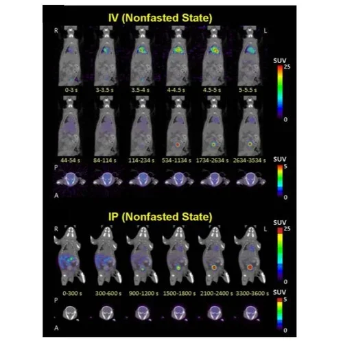 Effects of administration route, dietary condition, and blood glucose level on kinetics and uptake of 18F-FDG in mice