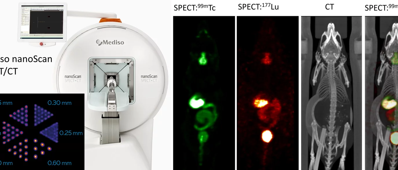  Single photon emission computed tomography (SPECT) imaging of rats