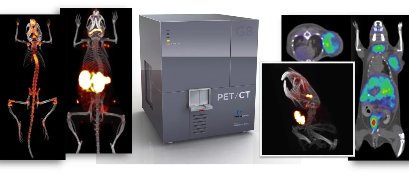 pet